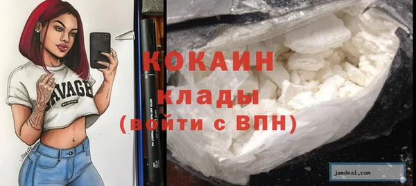 ECSTASY Богородск