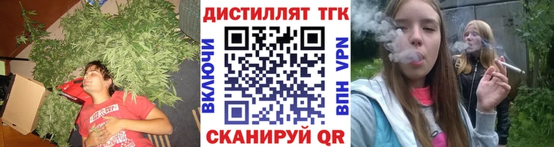 цена   Навашино  ТГК концентрат 