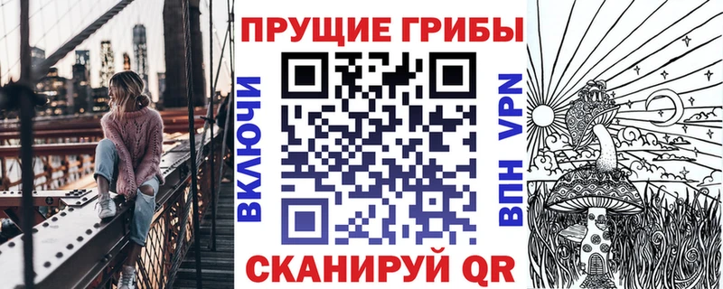 где можно купить   Навашино  Псилоцибиновые грибы Psilocybine cubensis 
