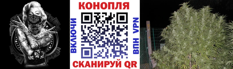маркетплейс наркотические препараты  Навашино  Бошки Шишки план 